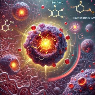 Sunitinib shows efficacy in pheochromocytoma and paraganglioma